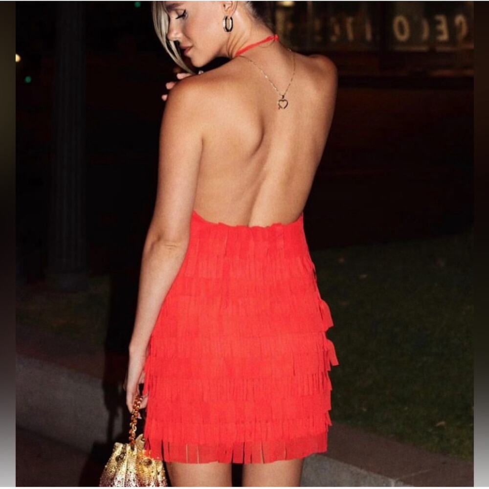 ZARA BLOGGER FAVORITE FRINGED TULLE HALTER DRESS - Picture 3 of 13